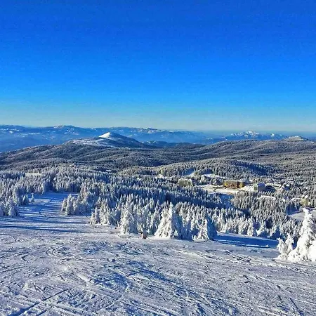 Lola - Zupa, Apartman *