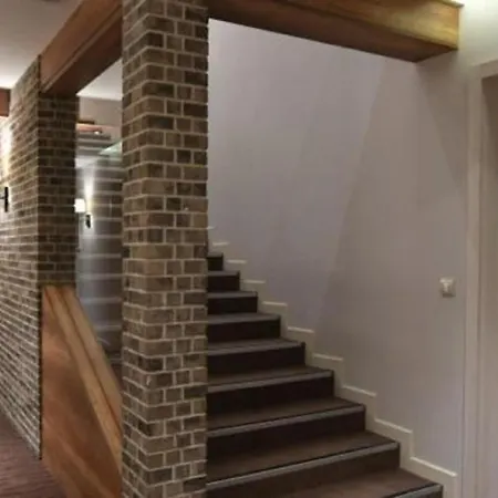 Lola - Zupa, Kopaonik