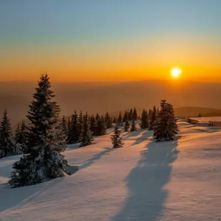 Lola - Zupa, Apartman